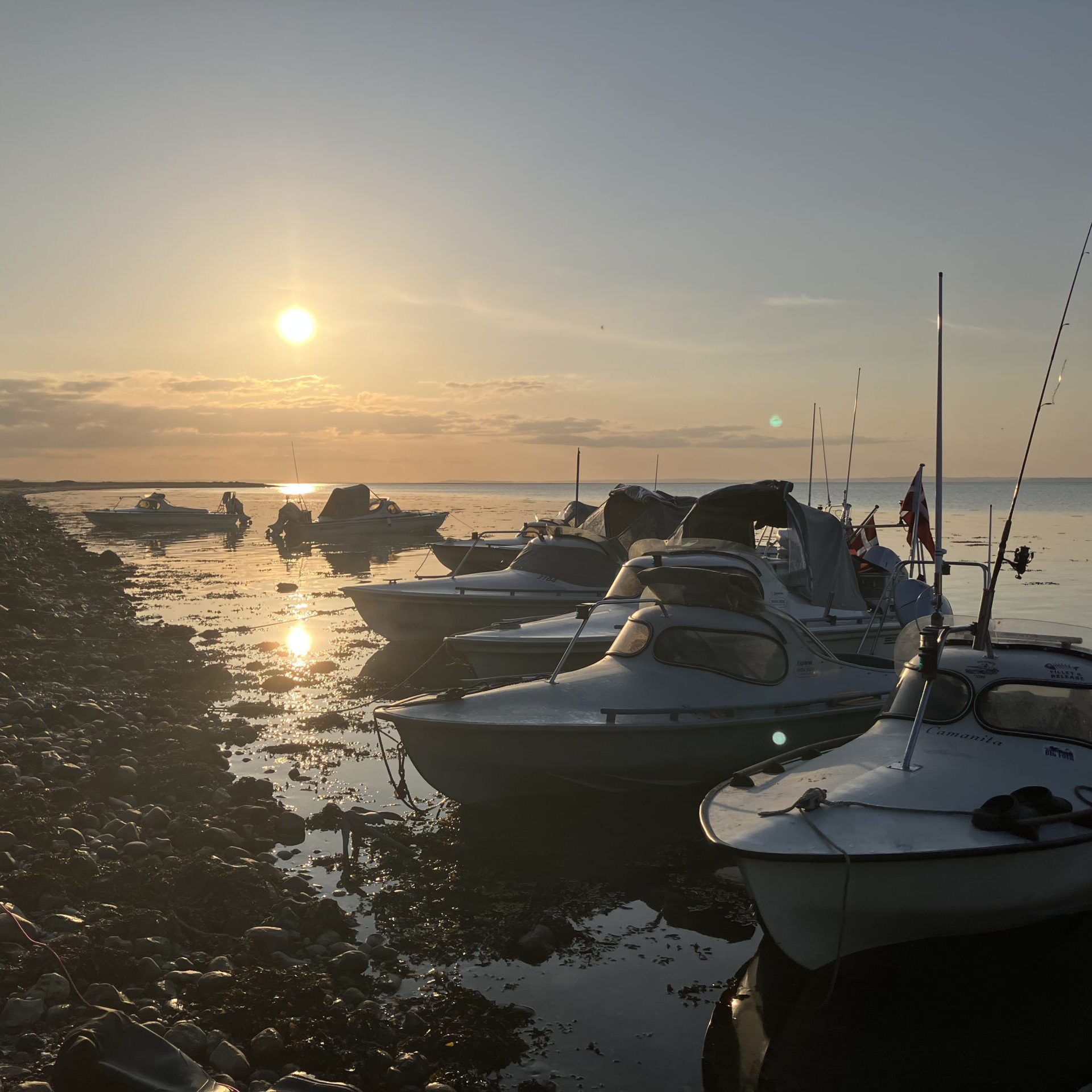 Mopa på forsommertur